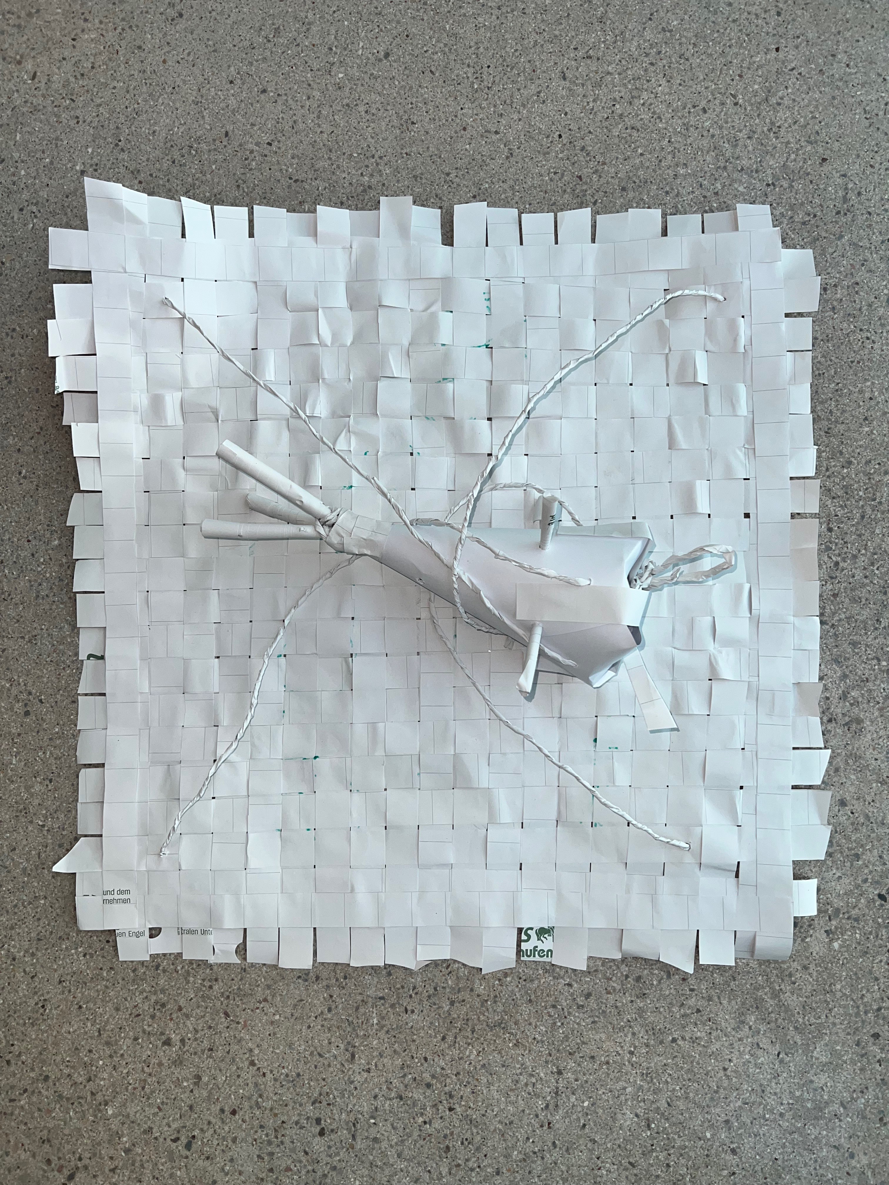 ParaCone Ultra - Komplettes Flugtransportsystem mit Kegel, Stützstangen und Fallschirm